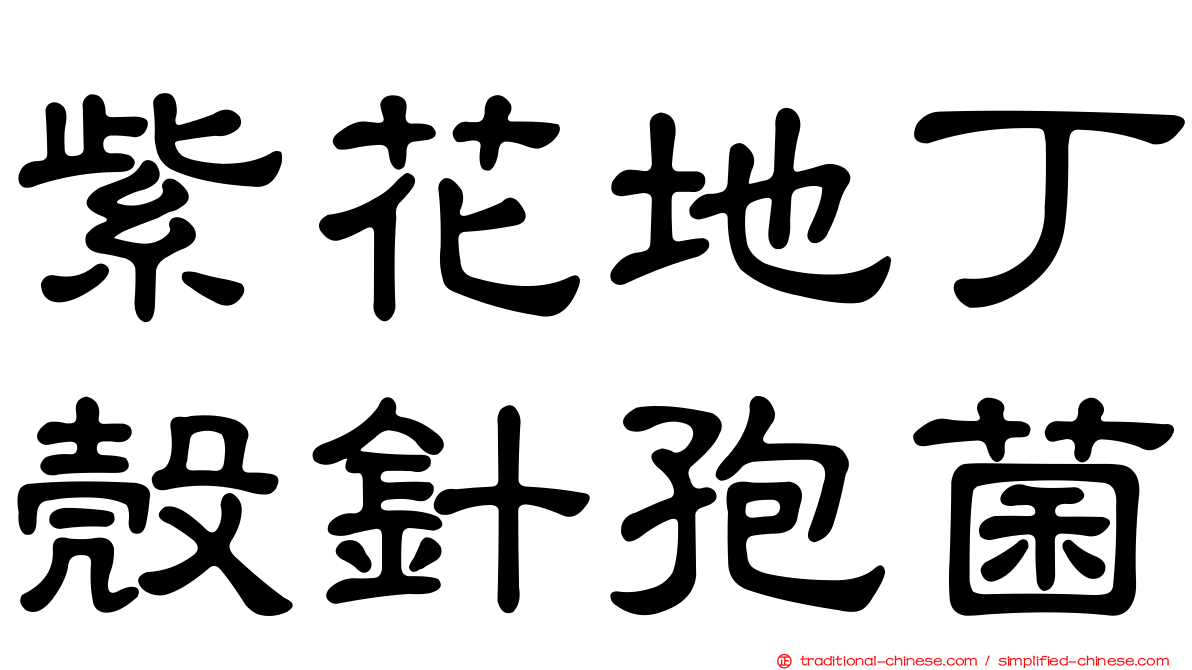 紫花地丁殼針孢菌
