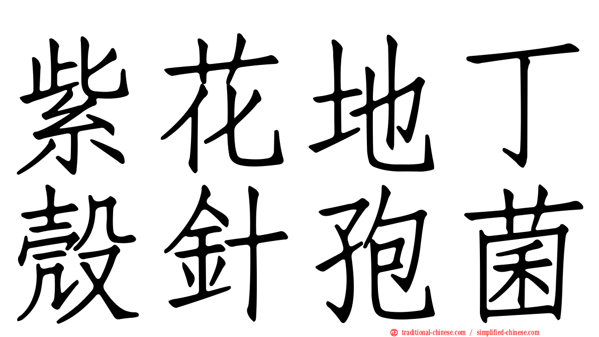 紫花地丁殼針孢菌