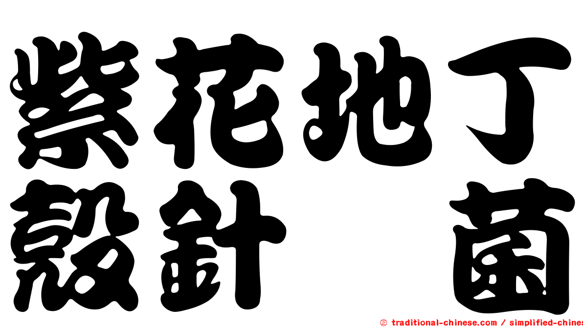 紫花地丁殼針孢菌