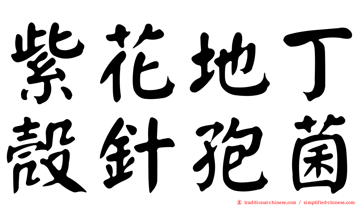 紫花地丁殼針孢菌