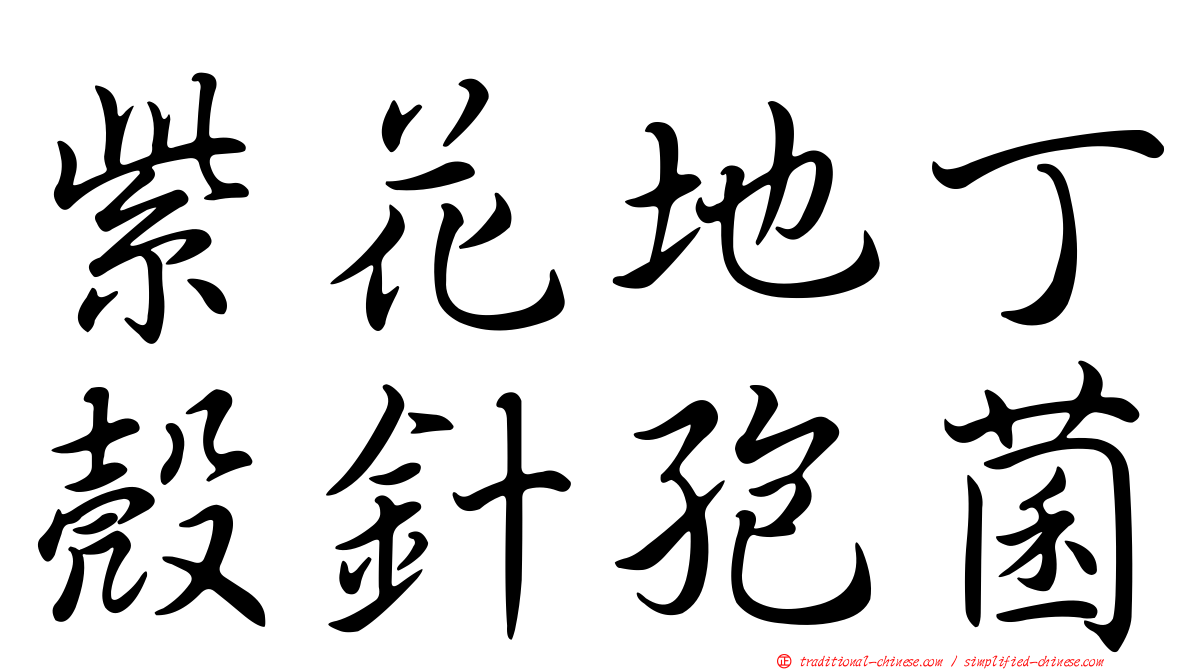 紫花地丁殼針孢菌