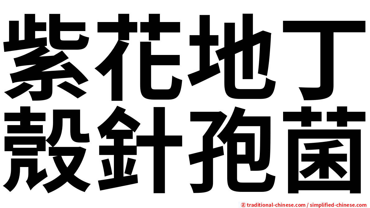 紫花地丁殼針孢菌