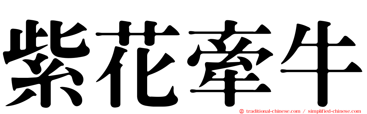 紫花牽牛