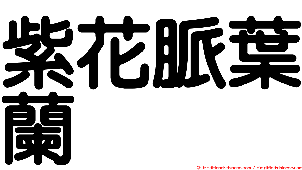 紫花脈葉蘭