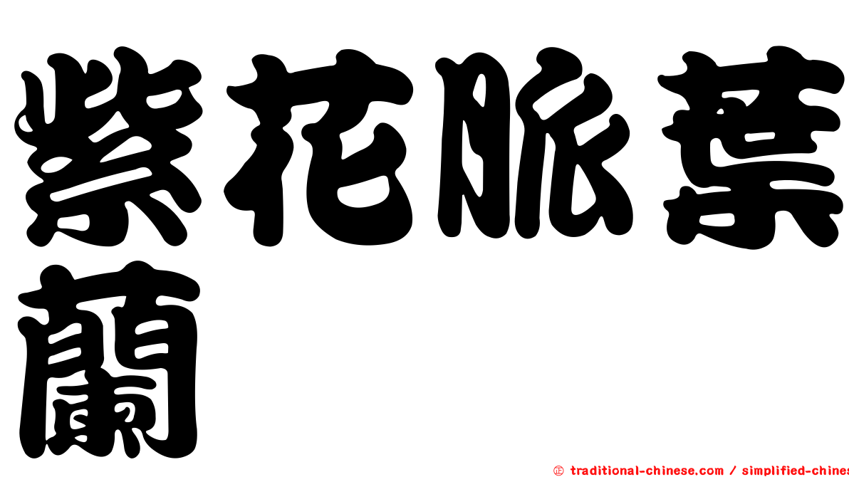 紫花脈葉蘭