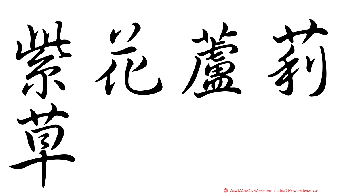 紫花蘆莉草