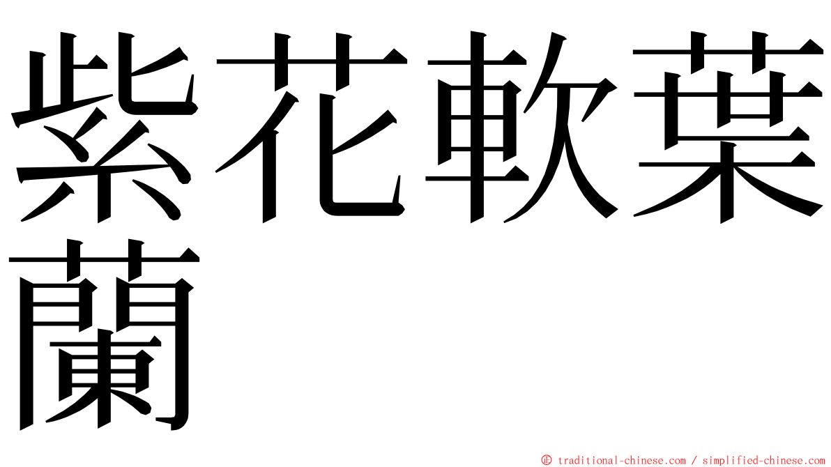 紫花軟葉蘭 ming font