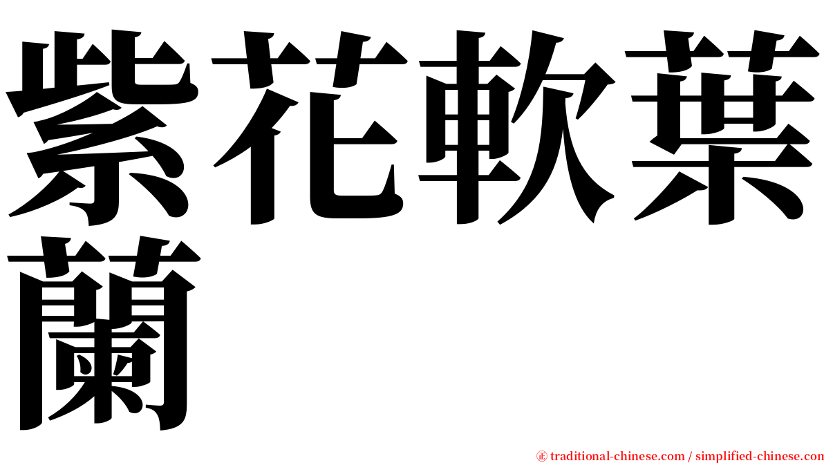 紫花軟葉蘭 serif font