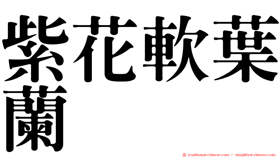 紫花軟葉蘭