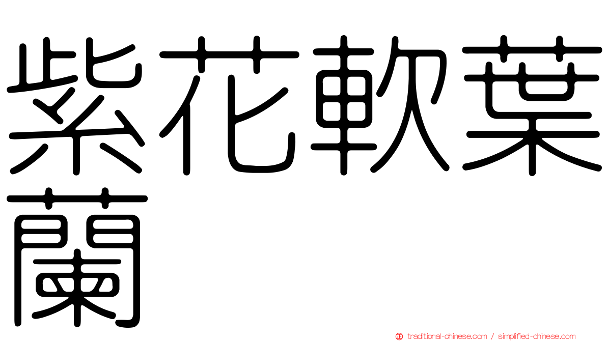 紫花軟葉蘭