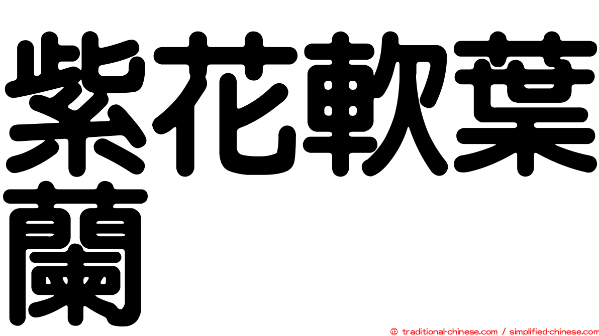 紫花軟葉蘭