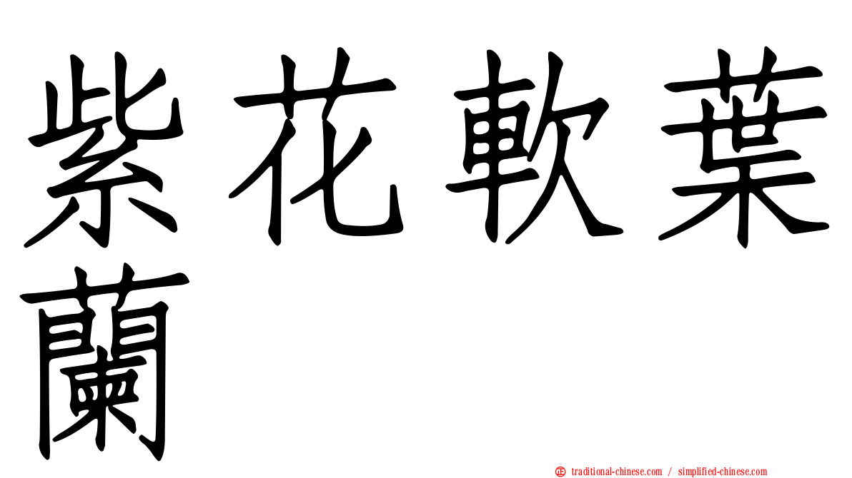 紫花軟葉蘭
