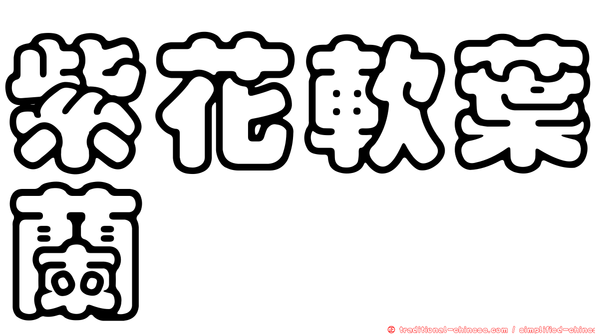 紫花軟葉蘭