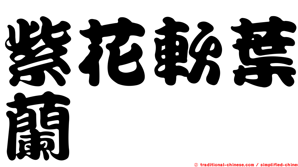 紫花軟葉蘭