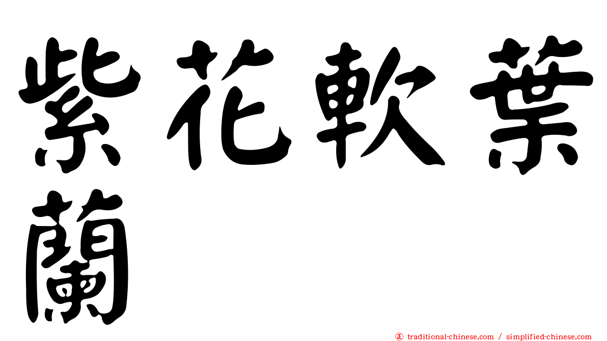 紫花軟葉蘭