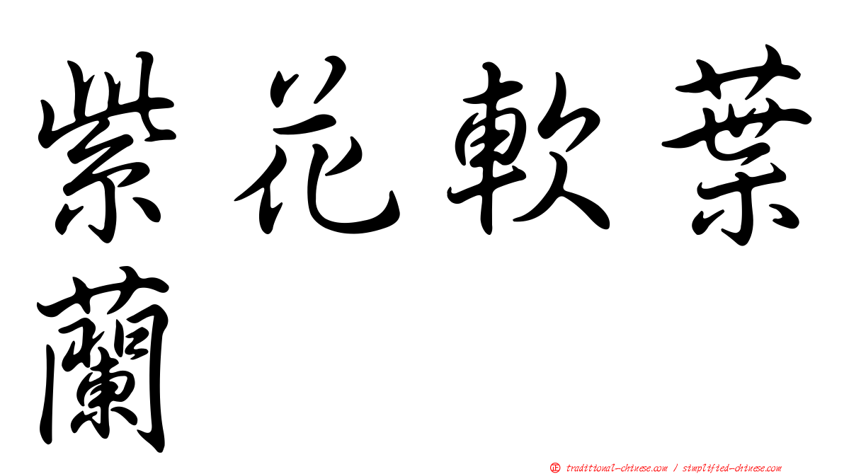 紫花軟葉蘭