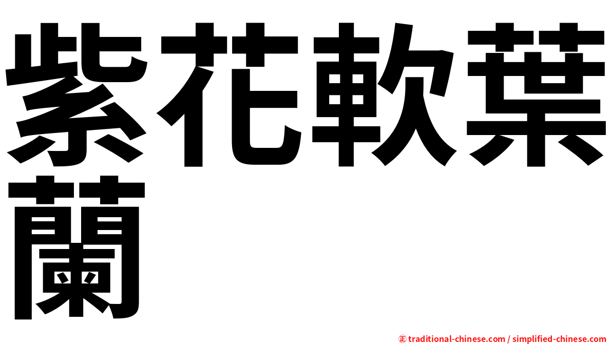 紫花軟葉蘭