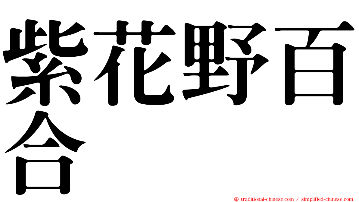 紫花野百合