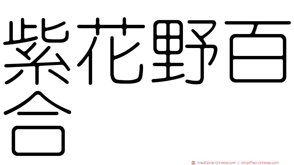 紫花野百合