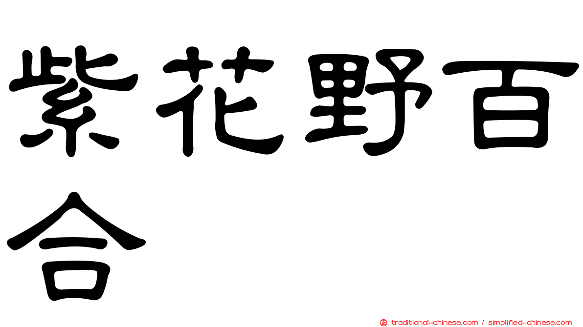 紫花野百合