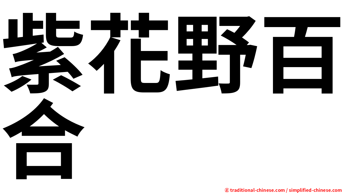 紫花野百合