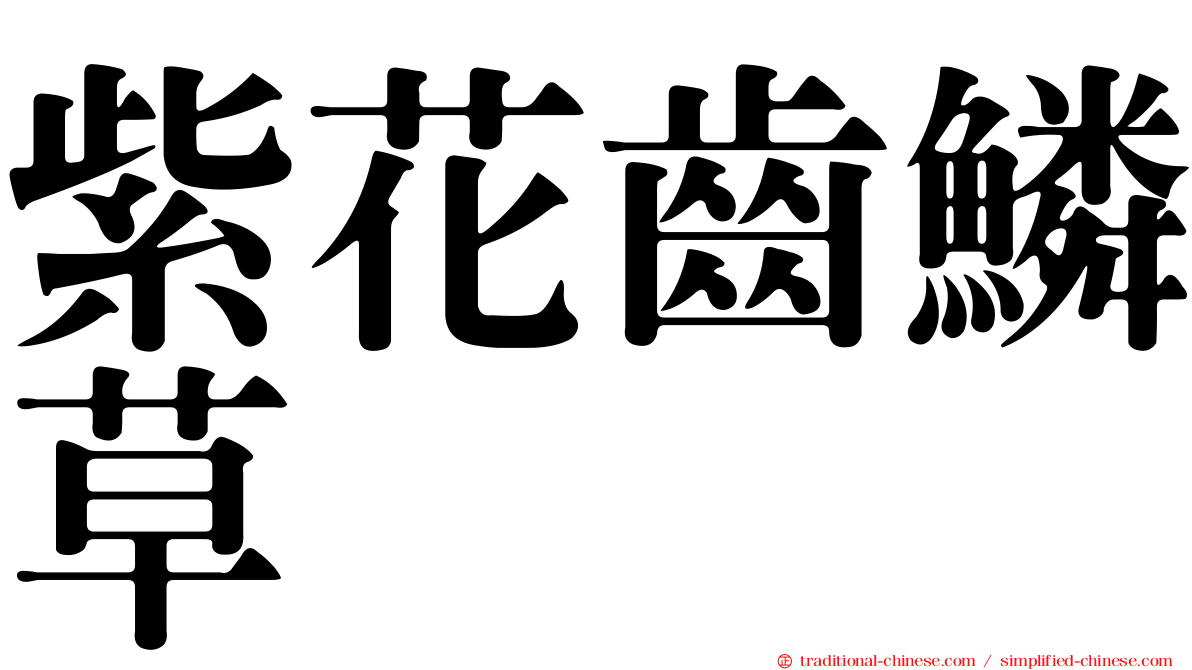 紫花齒鱗草