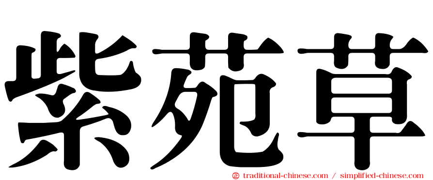 紫苑草