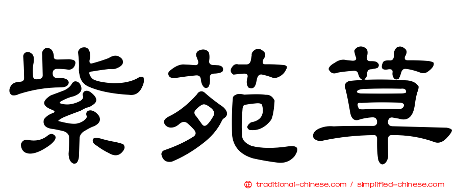 紫苑草