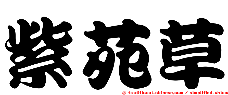 紫苑草