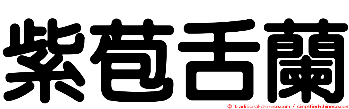 紫苞舌蘭