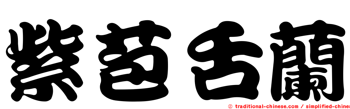 紫苞舌蘭