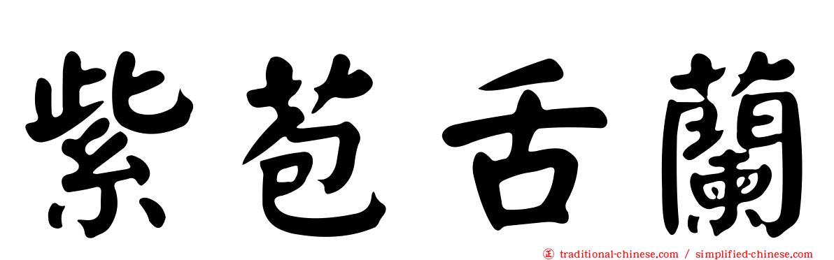 紫苞舌蘭