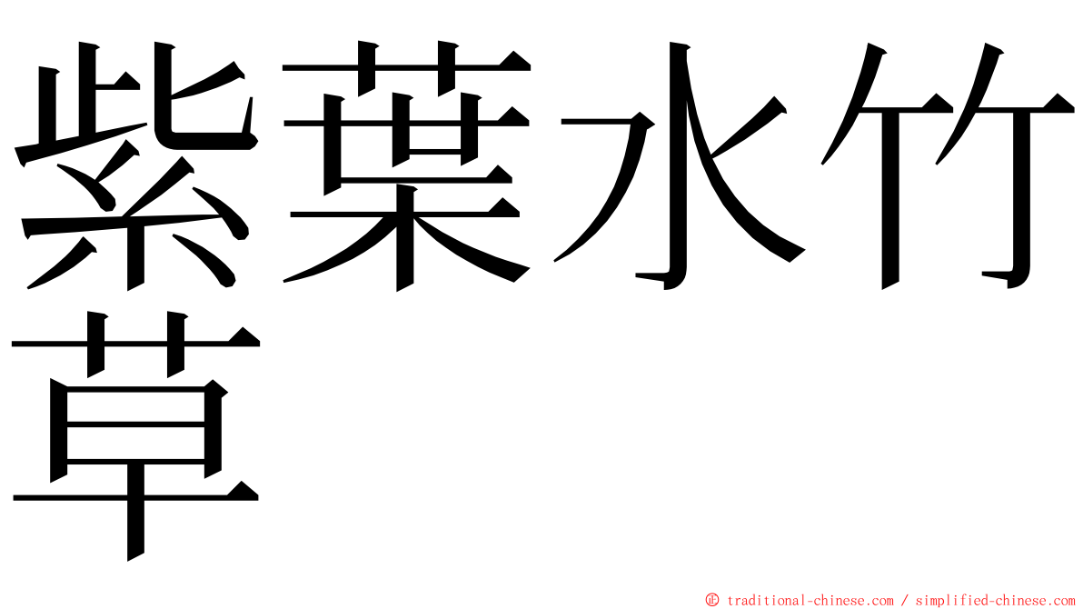 紫葉水竹草 ming font