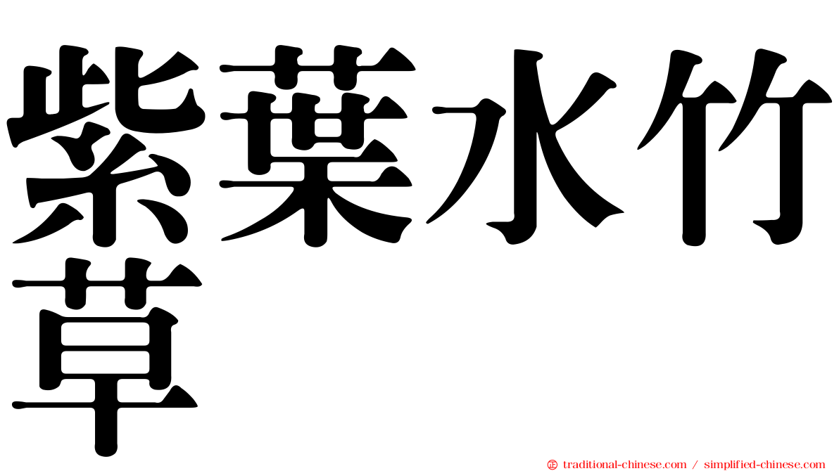 紫葉水竹草