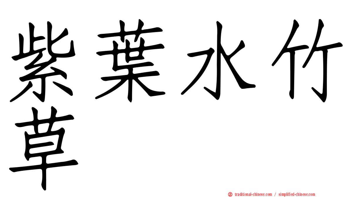 紫葉水竹草
