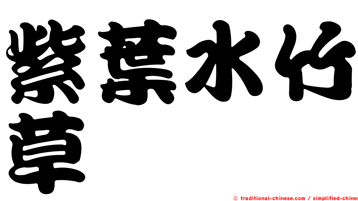 紫葉水竹草
