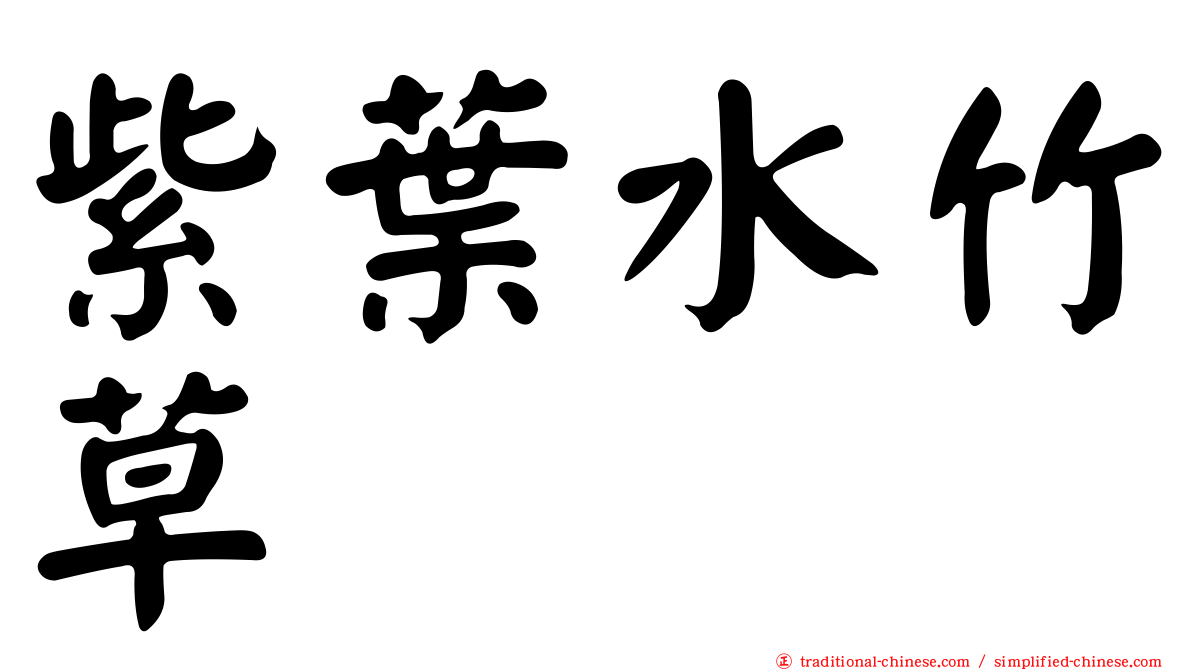 紫葉水竹草