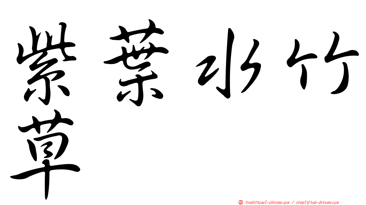 紫葉水竹草