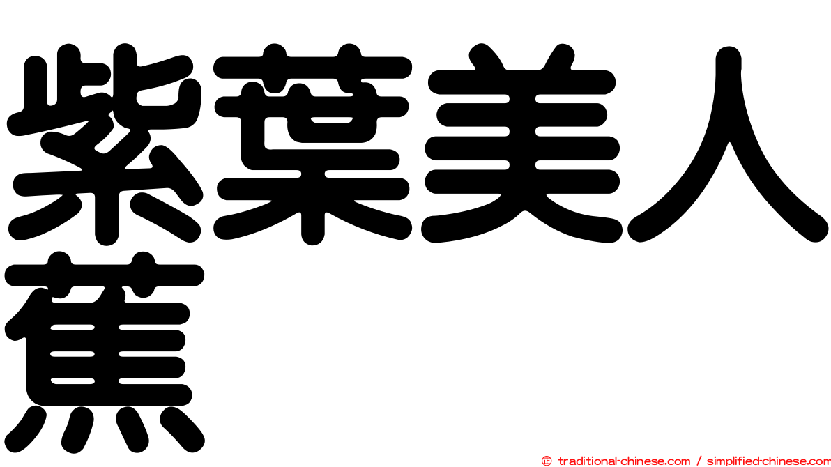 紫葉美人蕉