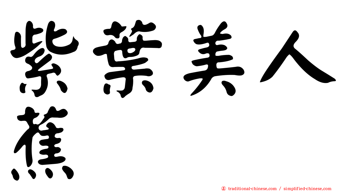 紫葉美人蕉