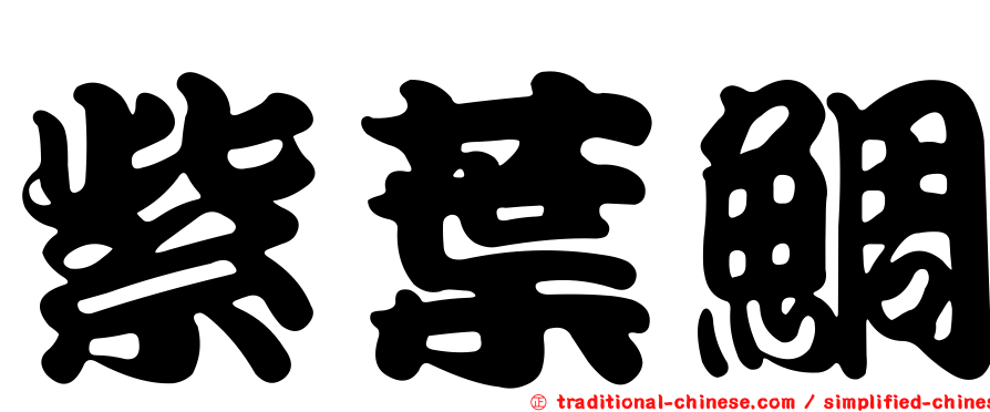 紫葉鯛