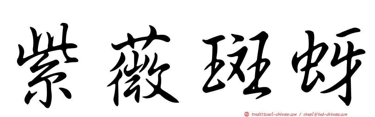紫薇斑蚜