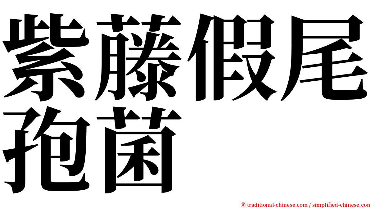 紫藤假尾孢菌 serif font