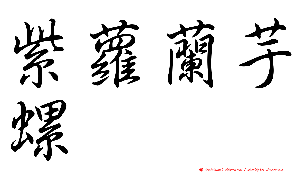 紫蘿蘭芋螺