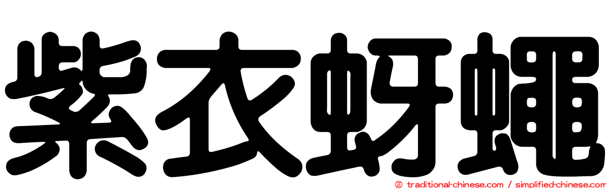 紫衣蚜蠅