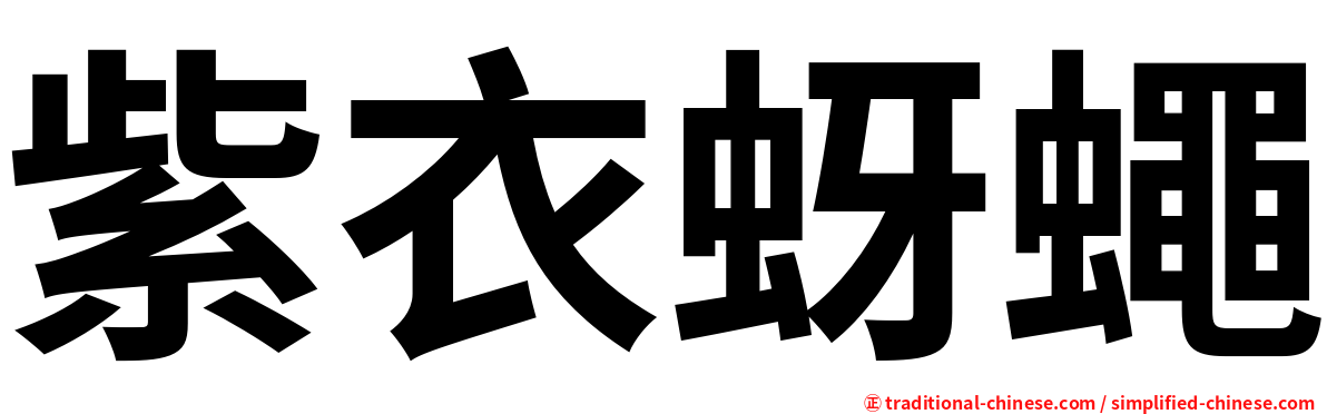 紫衣蚜蠅