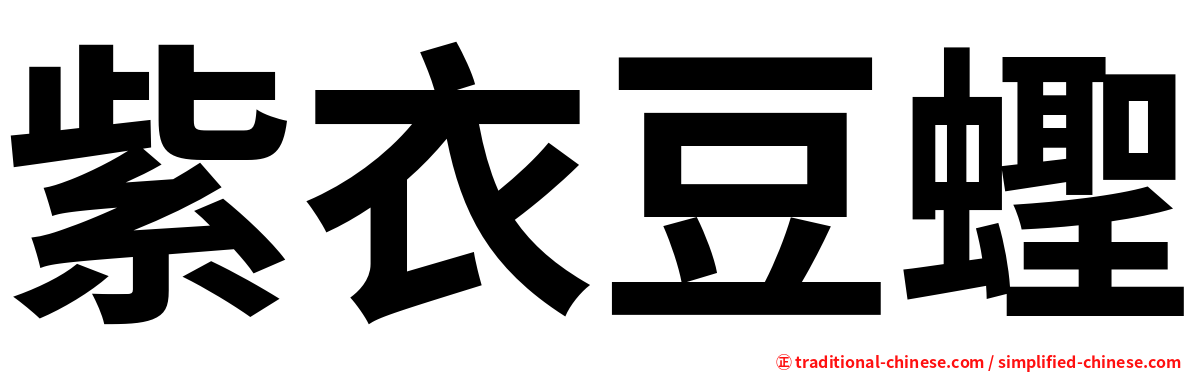 紫衣豆蟶