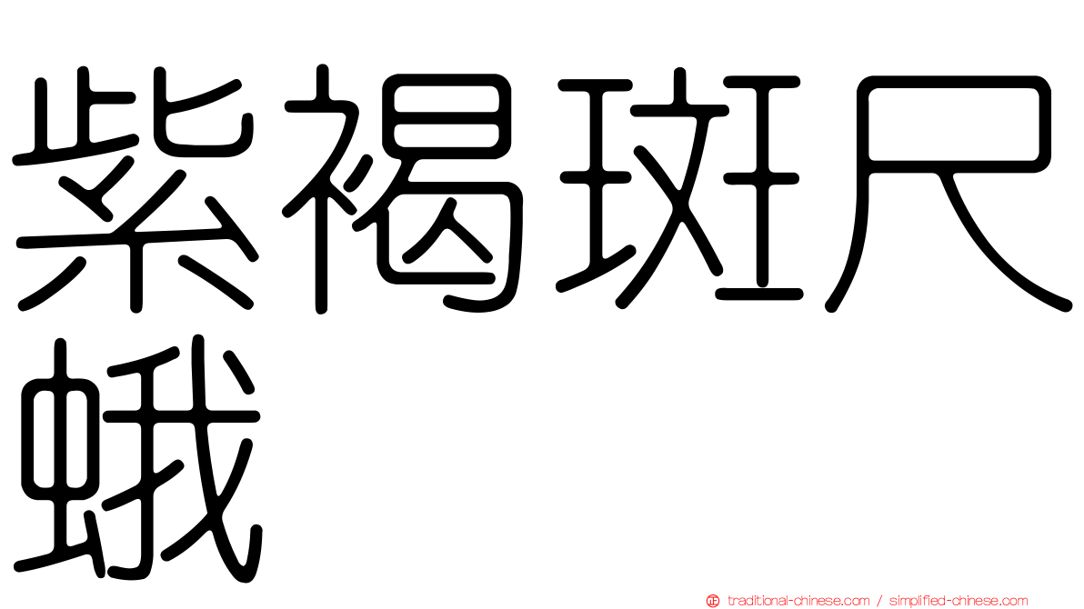 紫褐斑尺蛾