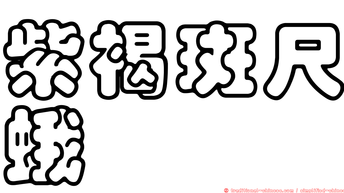 紫褐斑尺蛾