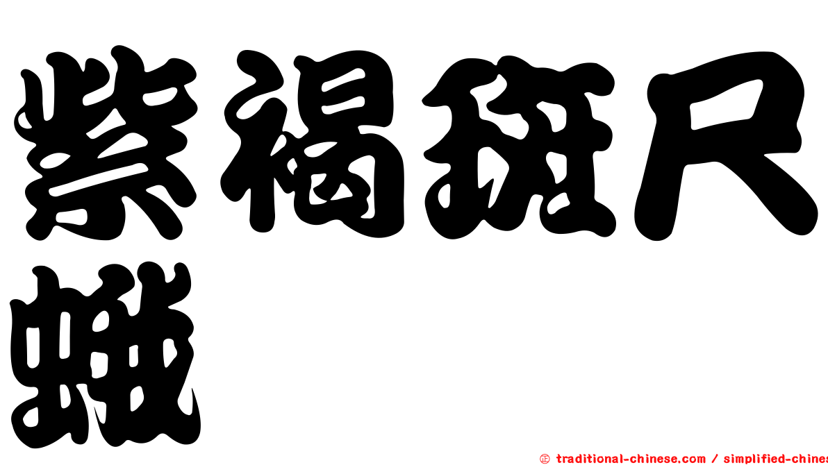 紫褐斑尺蛾